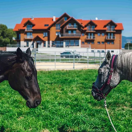 בית הארחה Kamence